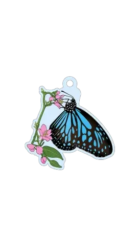 Motyl